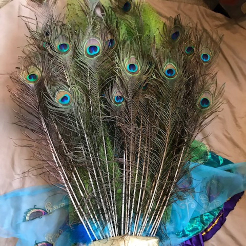 Peacock Halloween Costume